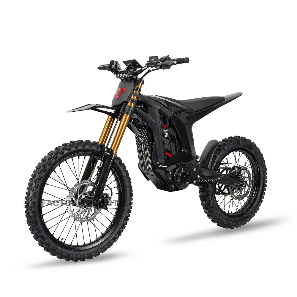 Фото электро питбайка Arctic Leopard XE Pro R