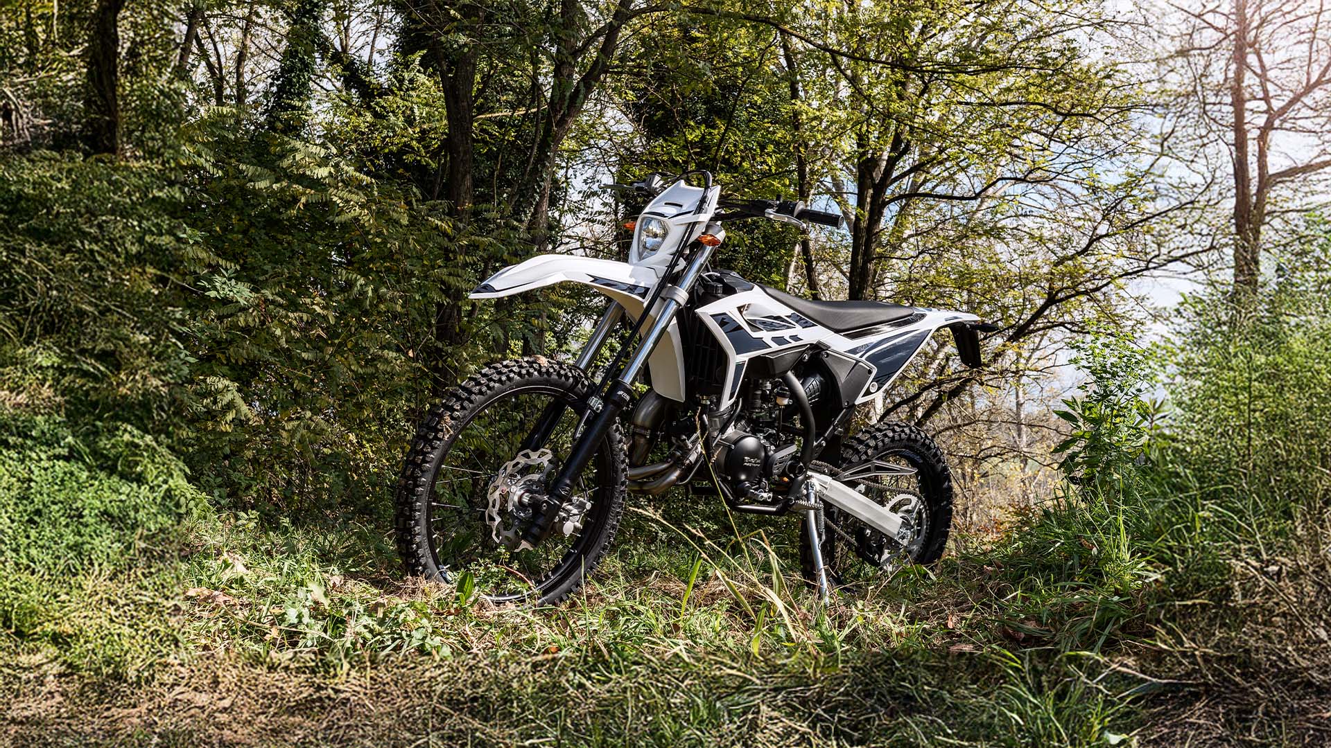 Фото питбайка Betamotor RR 2T 50 Sport