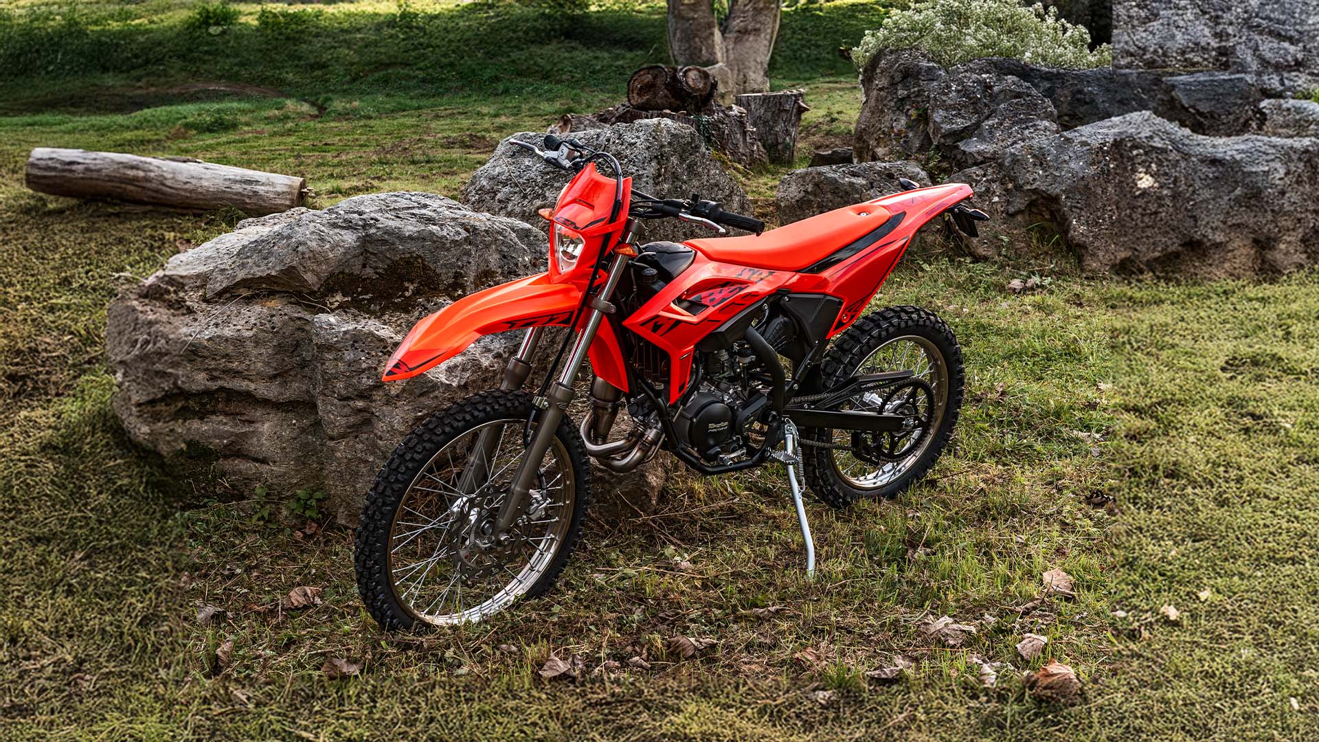 Фото питбайка Betamotor RR 2T 50