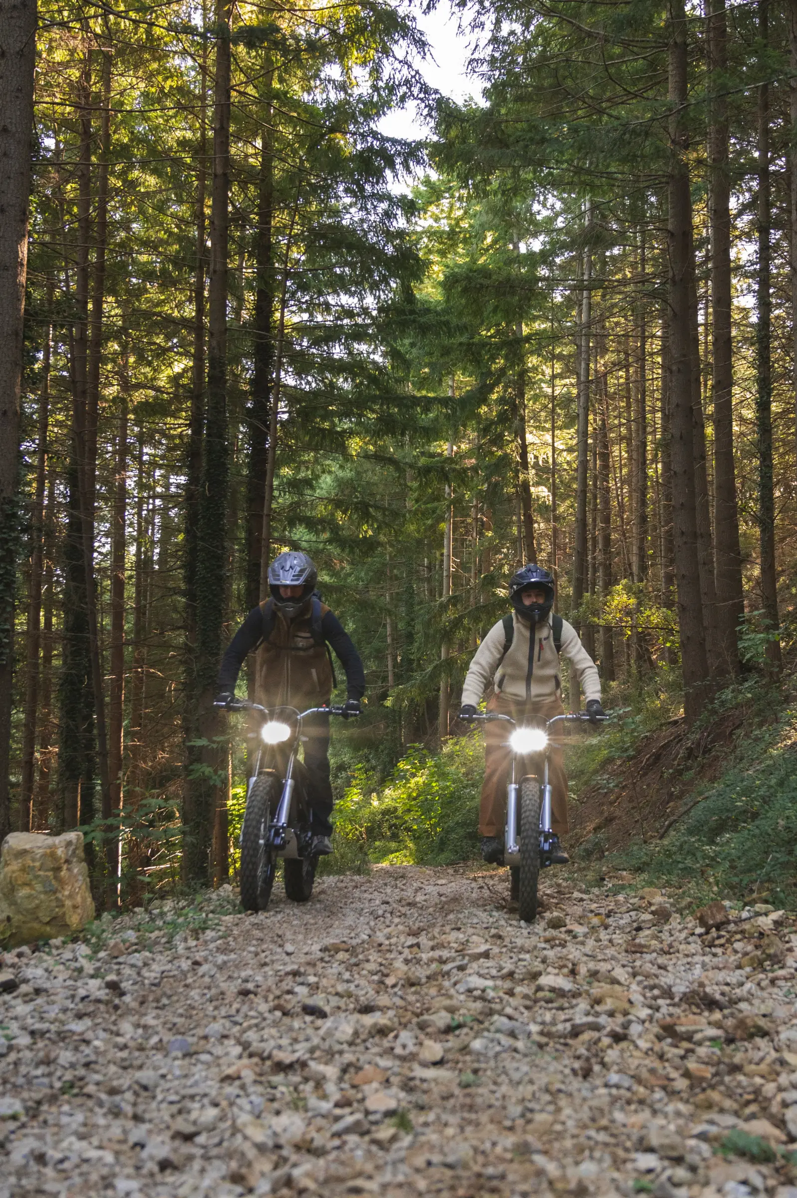 Фото электро питбайка Electric Motion Escape SE