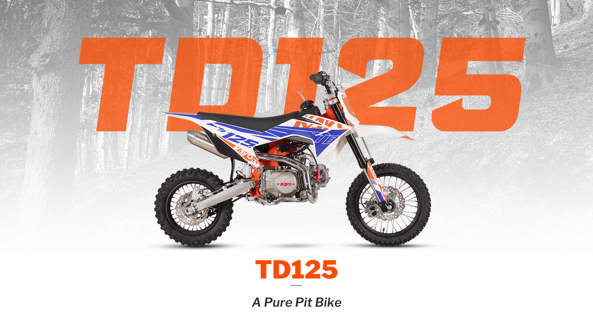 Фото питбайка KAYO TD125