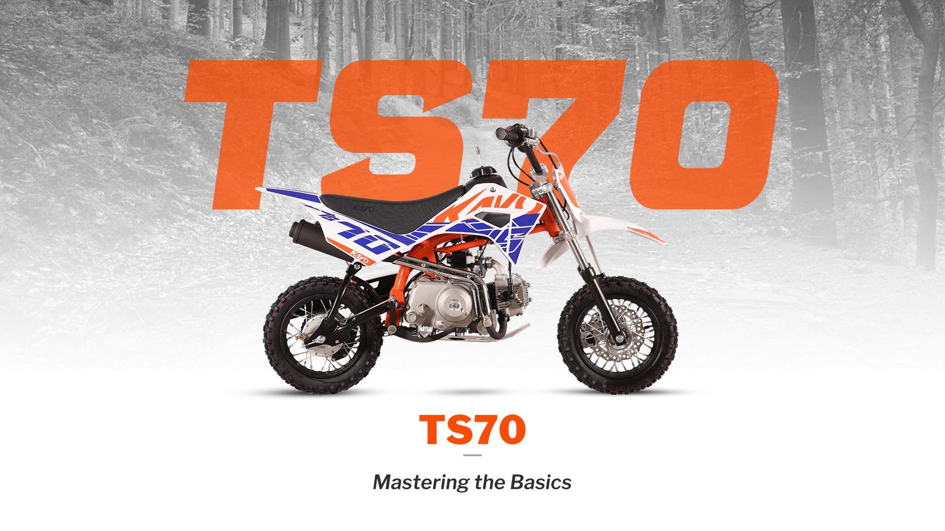 Фото питбайка KAYO TS70