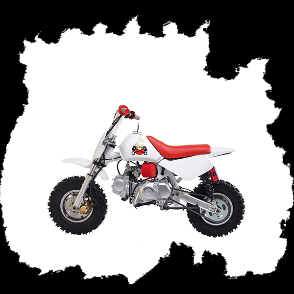 Фото питбайка Skyteam BAJA OFF-ROAD 140cc
