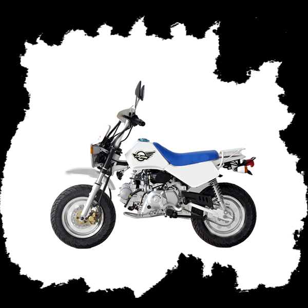 Фото питбайка Skyteam BAJA ON-ROAD 125cc