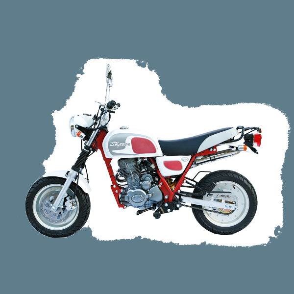 Фото питбайка Skyteam COBRA E3 125cc