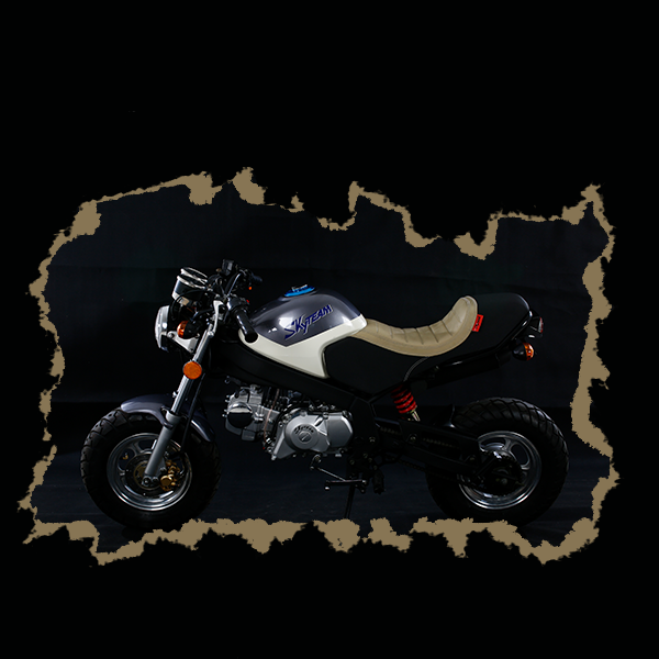 Фото питбайка Skyteam PBR-2nd 125cc