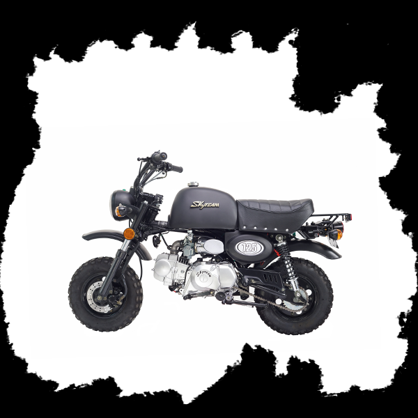 Фото питбайка Skyteam SKYBONGO E3 50cc