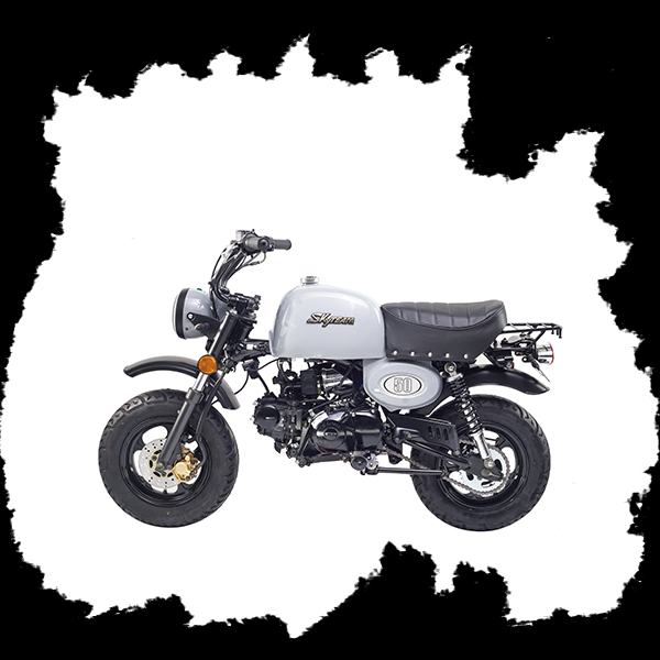 Фото питбайка Skyteam SKYBONGO E5 50cc