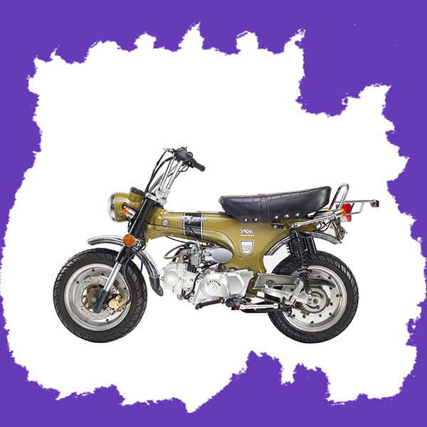 Фото питбайка Skyteam SkyMax Pro 125cc