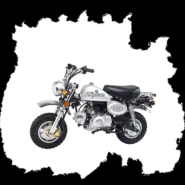 Фото питбайка Skyteam SKYMINI E3 50cc