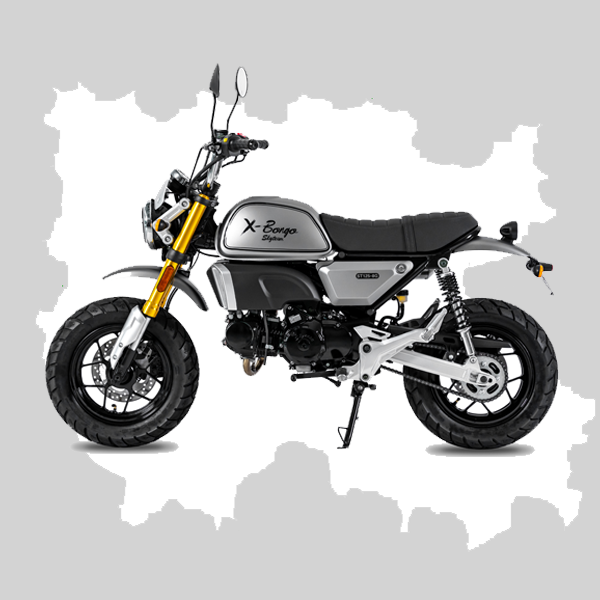 Фото питбайка Skyteam X-BONGO E5+ 50cc