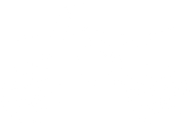 Фото электро питбайка Torrot Supermotard SM1