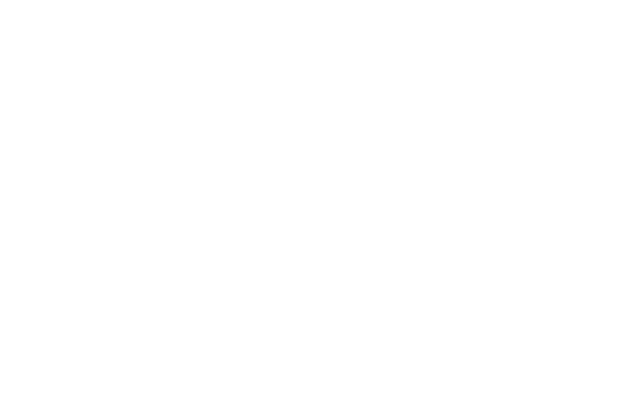 Фото электро питбайка Torrot Trial Tr1