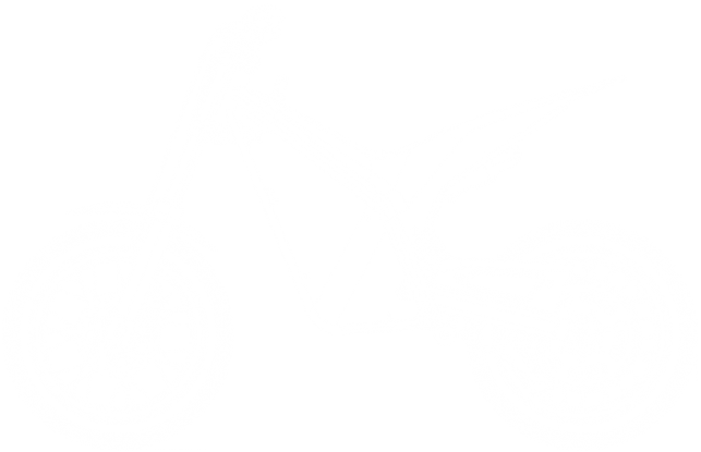 Фото электро питбайка Torrot Trial Tr2