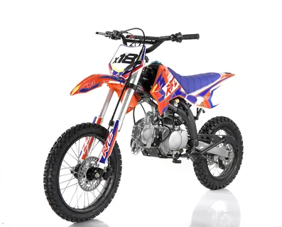 Фото питбайка Apollo DB-X18 125cc