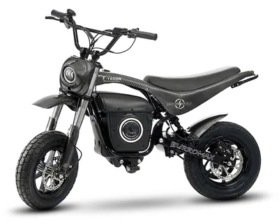 Фото электро питбайка Burromax TT1600R