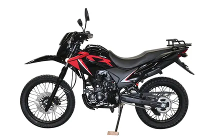 Фото питбайка CHAMP CM150GY-A