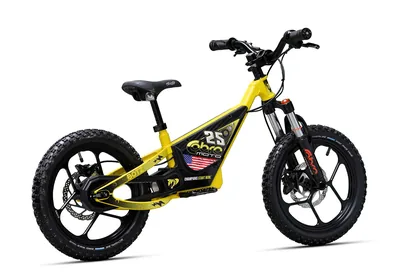 Фото электро питбайка Cobra Moto Cobra CX1E-16