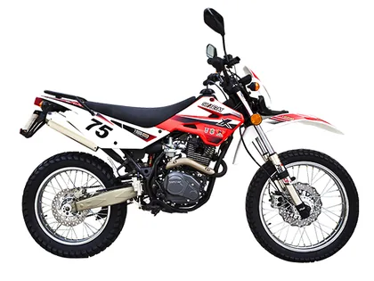 Фото питбайка Shineray XY150GY-11A