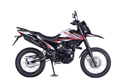 Фото питбайка Shineray XY200GY-6E