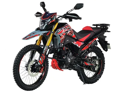 Фото питбайка Shineray XY300GY-13