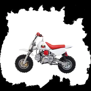 Фото питбайка Skyteam BAJA OFF-ROAD 140cc