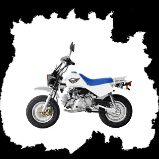 Фото питбайка Skyteam BAJA ON-ROAD 125cc