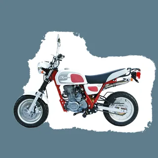 Фото питбайка Skyteam COBRA E3 125cc