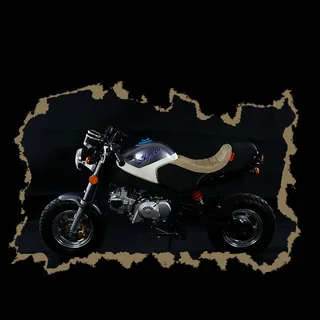 Фото питбайка Skyteam PBR-2nd 125cc