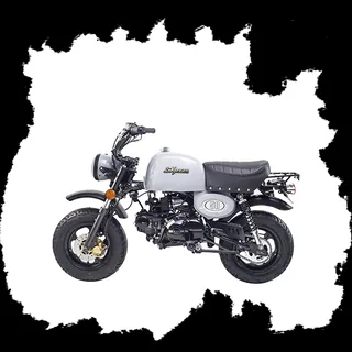 Фото питбайка Skyteam SKYBONGO E5 125cc
