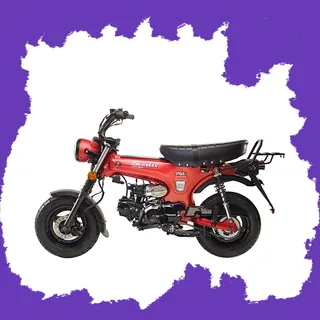 Фото питбайка Skyteam SKYMAX E5 125cc