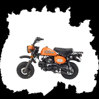 Фото питбайка Skyteam SKYMINI E5 125cc