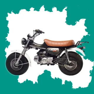 Фото питбайка Skyteam T-Rex E5 125cc