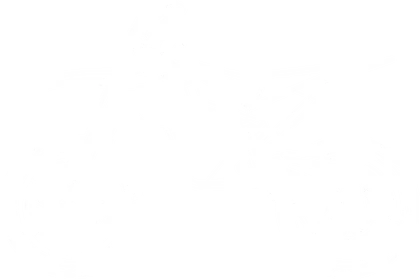 Фото электро питбайка Torrot Supermotard SM1