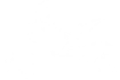 Фото электро питбайка Torrot Trial Tr1