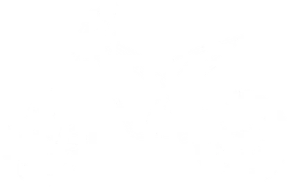 Фото электро питбайка Torrot Trial Tr2