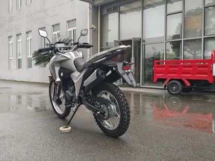 Фото питбайка Yinxiang YX300GY-C5G 2024 Brazilian Off road